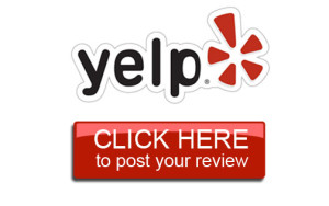 Yelp Reviews